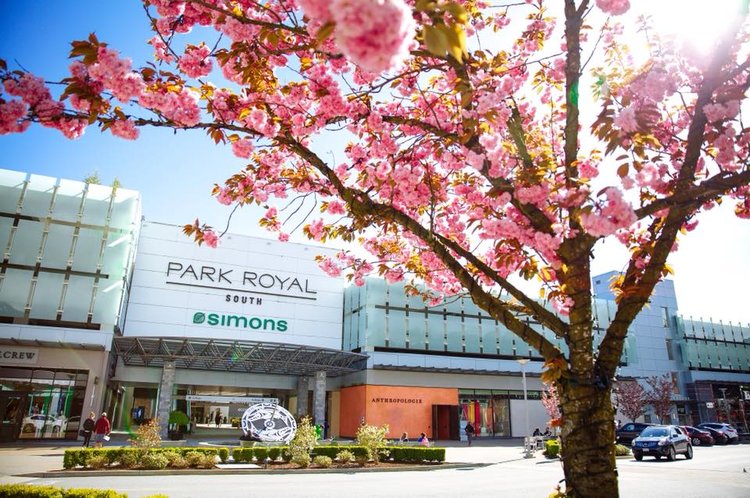 Park Royal Center Continues to Add Retailers and Tenants Amid Rapid Revenue  Growth